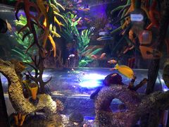 -沈阳海洋探索中心