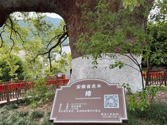 -新安江山水画廊风景区
