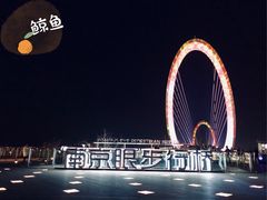 -南京眼步行桥