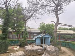 -有喜胶东小馆(太申祥和店)