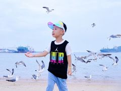 -海驴岛(荣成市)