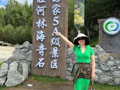 -汤旺河林海奇石景区