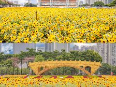 -海心沙亚运公园