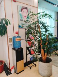 -中加科洋医疗美容