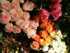 -谷莠子花艺气球派对·绿植造景·花艺沙龙(东海缤纷天地店)