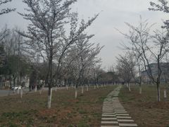 -眷江南之小蓝鲸(王府大街店)