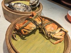 -杨氏青龙虾·羊蝎子(金盛路总店)