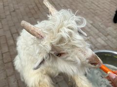 -水上乐园·欢乐世界