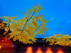 -陕北四窑洞(巨丰店)