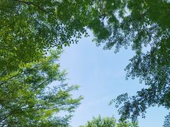 -瑶湖郊野森林公园