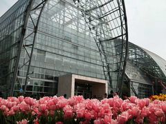 -南山植物园