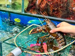 -牟记江湖重庆地标特色菜鱼蛋海鲜无刺鲫鱼(巴南区黑金冠十多年好店)