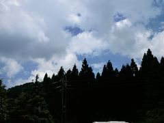 -武陵山森林公园