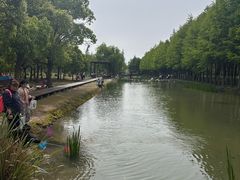 -上海浦江郊野公园-5号停车场