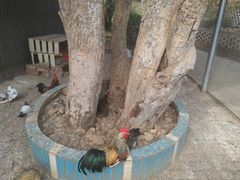 -好江南农庄·农家乐