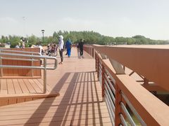 -丁香湖公园