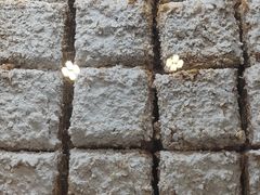 -苹果花园(南泉路店)