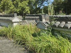 -梦姑塘文化公园