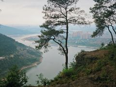 -铁山坪森林公园