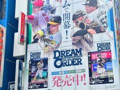 -秋叶原电器街
