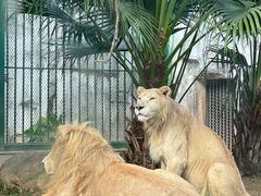 -广州动物园
