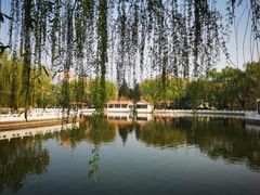 -丰台花园