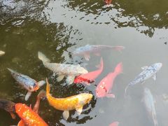-广州花园酒店