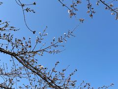 -龙美术馆(西岸馆)