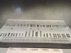 -鄂尔多斯青铜器博物馆