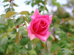 -韶关经律论国际酒店温泉