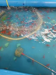 -大望京儿童游乐场