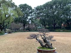 丁香花园-申粤轩酒楼·三十年粤菜经典(丁香花园店)