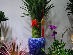 -金陵花卉交易市场