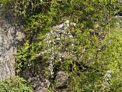 -中国茶叶博物馆(双峰馆区)