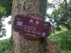 -张坝桂圆林公园