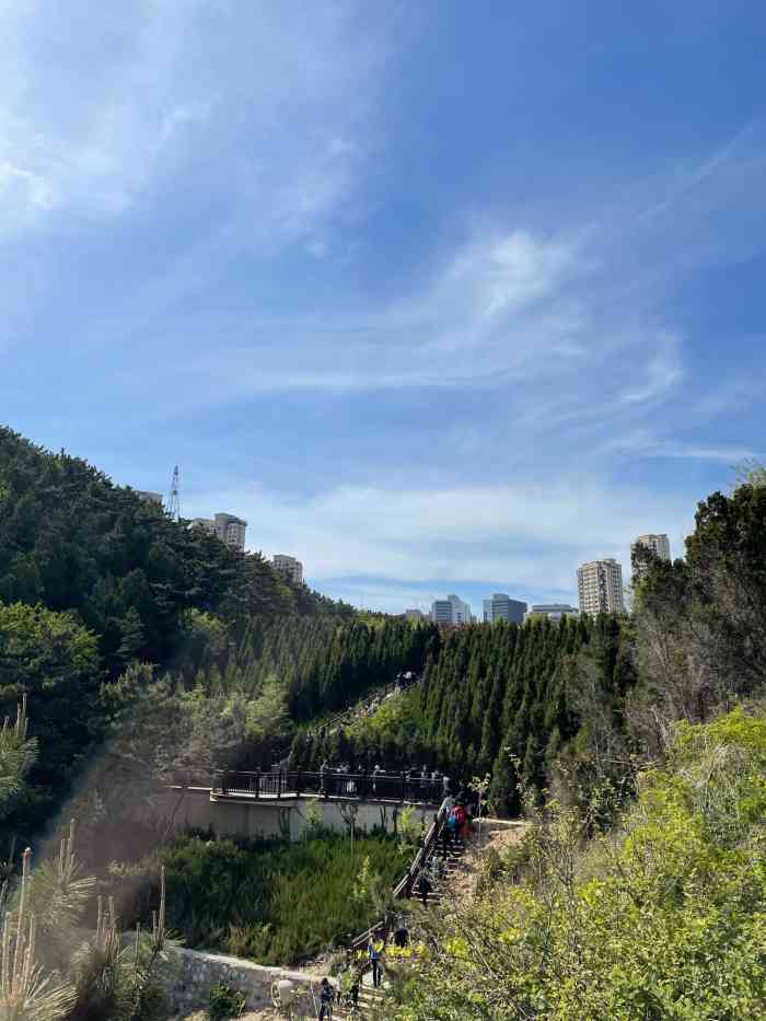 七贤岭森林公园"吃完午饭,遛弯的好地方,海水很清,有很多.