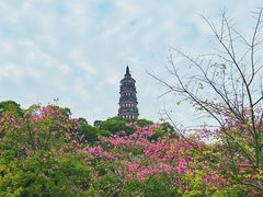 -顺峰山公园