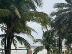 -太平洋咖啡(海滨泳场店)