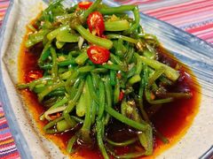 -香巴拉云南餐厅(华莱坞店)