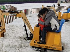 -绿野森林乐园冰雪季