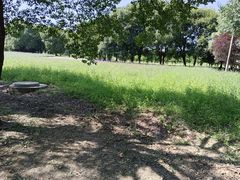 -渔娘蟹庄(阳澄湖莲花岛店)