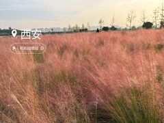 -汉长安城未央宫国家考古遗址公园