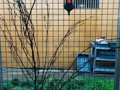 -锦至私房菜(长乐店)