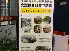 -金陵图书馆