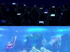 -重庆欢乐海底世界