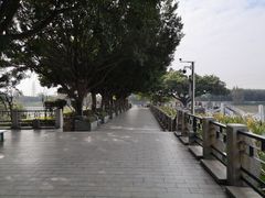 -黄埔古港
