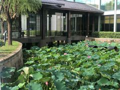 -绍兴鉴湖君澜大酒店