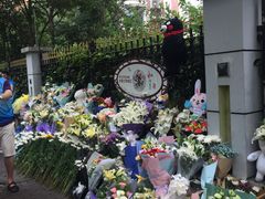 -上海市世外小学