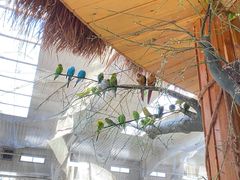 -南宫五洲植物乐园