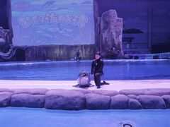 -华夏文旅海洋公园